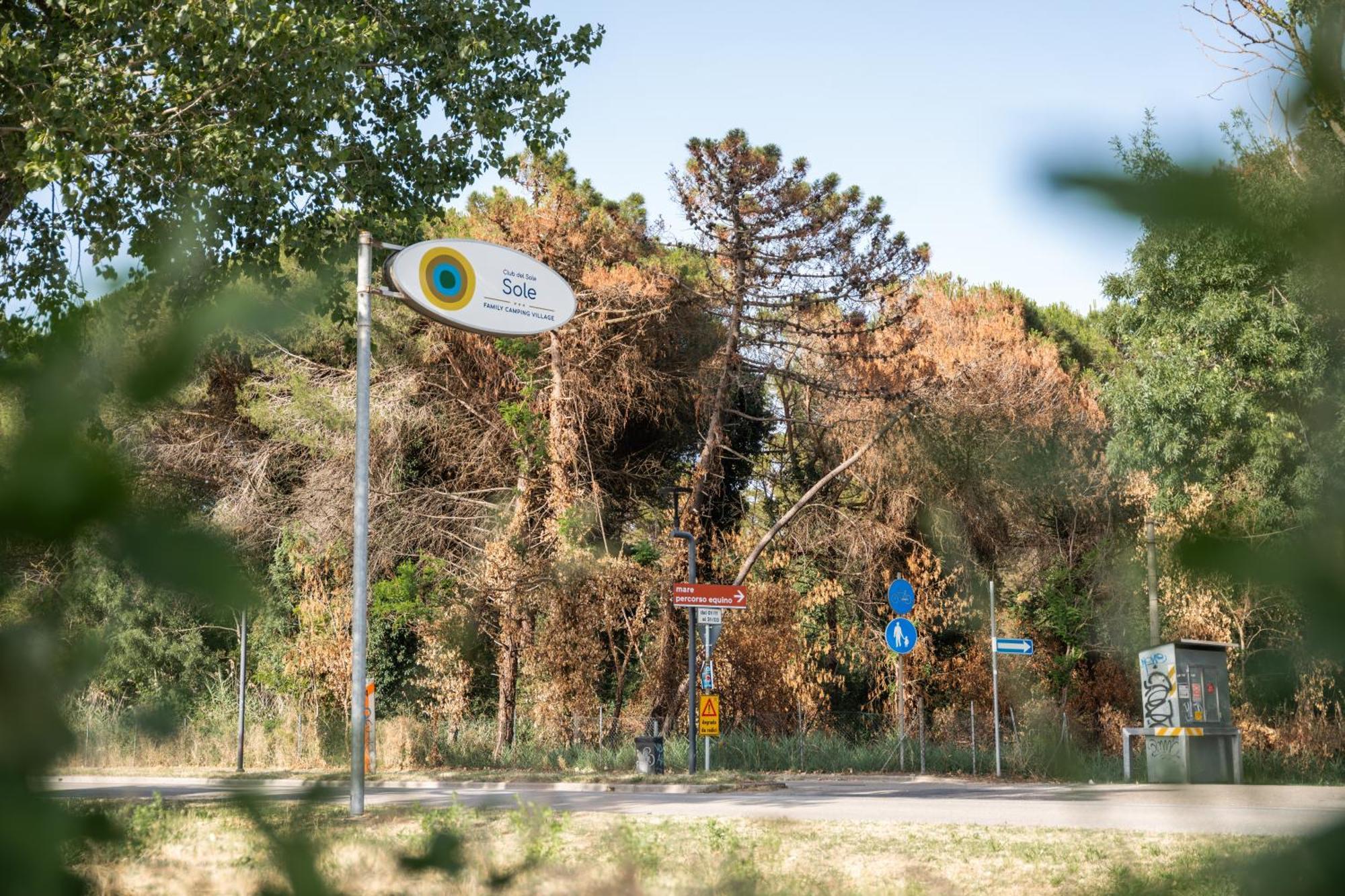 Club Del Sole Marina Romea Easy Camping Village Exterior photo